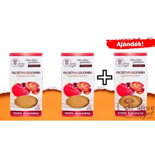 Ganoderma gyógygomba őrlemény 2*30g + 30 g ajándék (magyar termesztésből) INGYENES KISZÁLLÍTÁSSAL