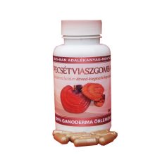 Ganoderma gyógygomba kapszula 334 mg 90 db.